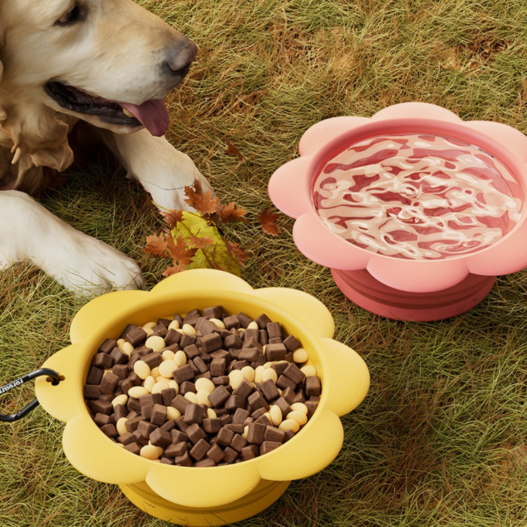 e241f05f3d6263c74129c7d7b88e8d13